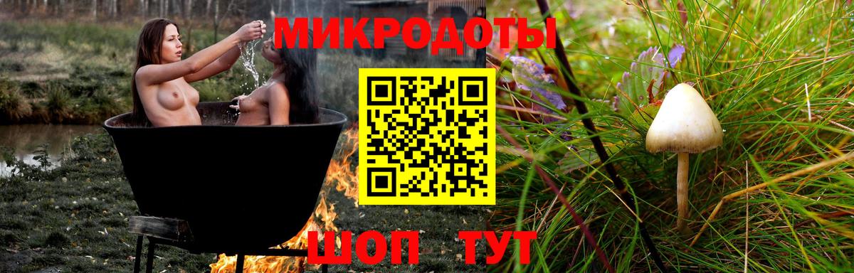 Галлюциногенные грибы Magic Shrooms Будённовск